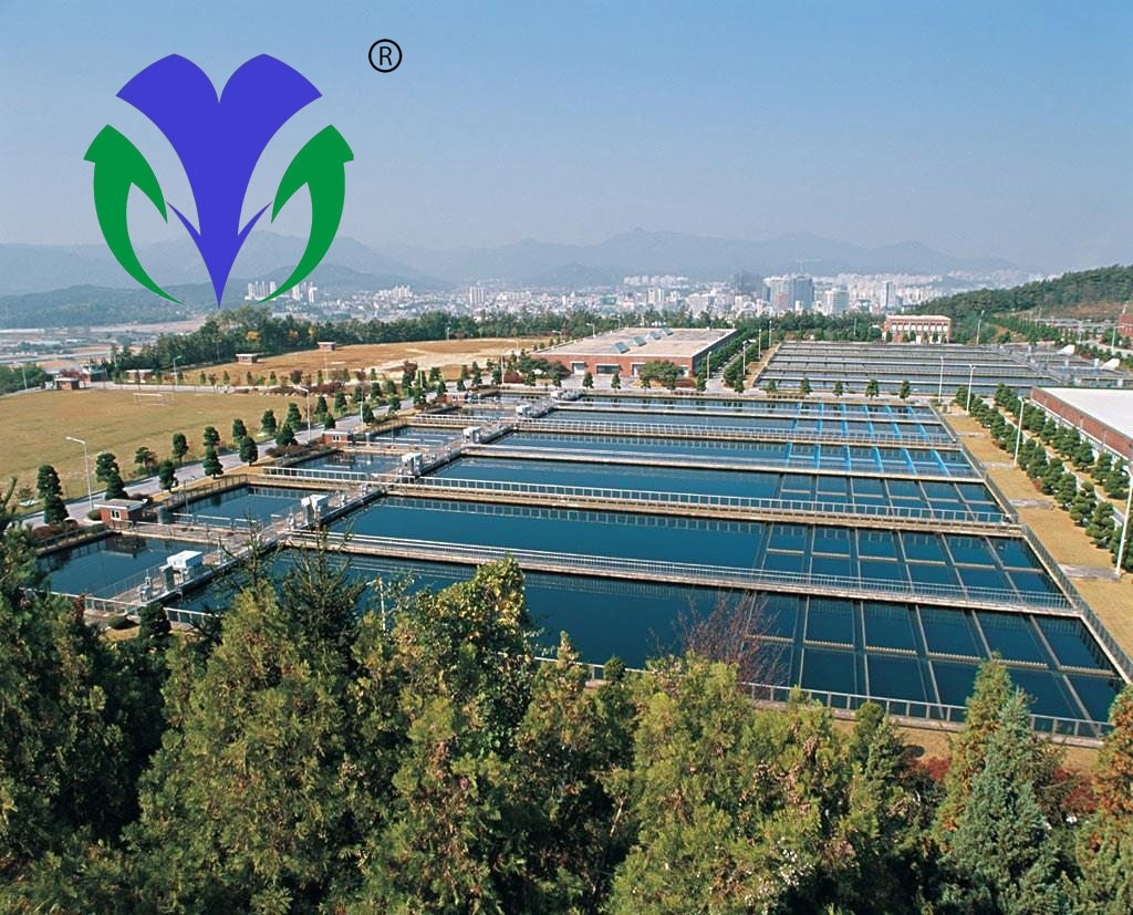 威海市某污水处置厂