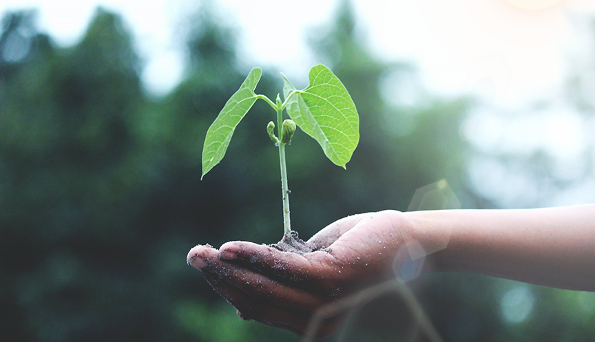 Ag亚洲集团(中国区)官方网站